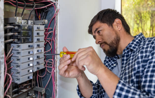 Best Electric Panel Repair  in East St Louis, IL